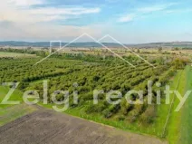 Prodej sadu/vinice, Rakvice, Horní, 210277 m2