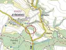 Prodej podílu lesa, Pacov, 1301 m2