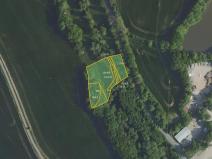 Prodej louky, Všestary, 3992 m2