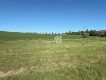 Prodej pozemku pro bydlení, Bušovice, 3737 m2