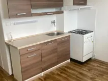 Prodej bytu 1+1, Ústí nad Labem - Severní Terasa, Stavbařů, 42 m2