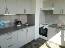 Pronájem bytu 1+1, Ostrava - Hrabůvka, Dr. Martínka, 36 m2