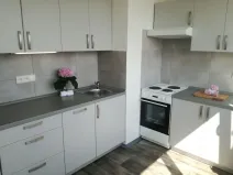 Pronájem bytu 1+1, Ostrava - Hrabůvka, Dr. Martínka, 36 m2