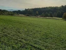 Prodej pole, Postupice - Čelivo, 12039 m2