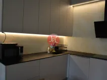 Pronájem bytu 2+kk, Ostrava, F. X. Riepla, 53 m2