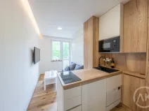 Pronájem bytu 1+kk, Opava - Předměstí, Haškova, 17 m2