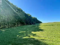 Prodej pozemku pro bydlení, Velká Polom, Okružní, 2292 m2