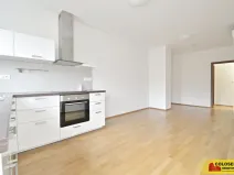 Pronájem bytu 3+kk, Brno - Veveří, 68 m2