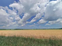 Prodej pole, Stádlec - Hájky, 17261 m2