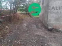 Prodej - jiné, Milíčov, Milíčov, 250 m2