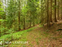 Prodej louky, Víchová nad Jizerou, 1867 m2