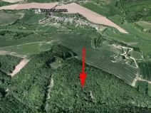 Prodej podílu lesa, Vranová Lhota, 2021 m2