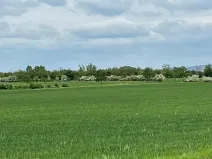 Prodej pole, Brno, 11752 m2