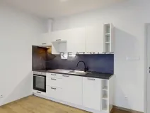 Pronájem bytu 1+kk, České Budějovice, Puklicova, 38 m2