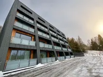 Prodej bytu 1+kk, Janov nad Nisou, 31 m2