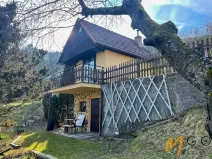 Prodej chaty, Ústí nad Orlicí, 45 m2