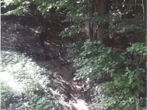 Prodej lesa, Vendryně, 3059 m2