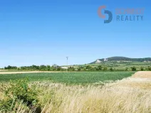 Prodej pole, Perná, 8959 m2