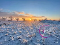 Pronájem pozemku pro bydlení, Černá, 450 m2