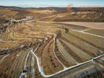 Prodej sadu/vinice, Němčičky, 4556 m2