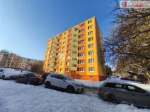 Prodej bytu 2+1, Karlovy Vary - Drahovice, Východní, 60 m2