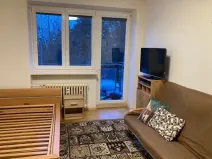 Pronájem bytu 1+1, Plzeň, Revoluční, 35 m2