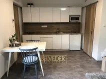 Pronájem bytu 1+kk, Teplice, Rokle, 32 m2