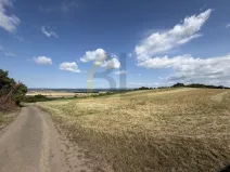 Prodej zahrady, Strážnice, Veselská, 3867 m2