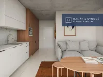 Prodej bytu 1+kk, Brno, Koliště, 23 m2