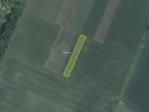 Prodej pole, Novosedly, 3161 m2