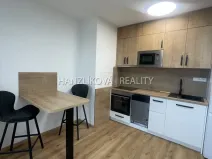 Pronájem bytu 1+kk, České Budějovice, Dobrovodská, 32 m2