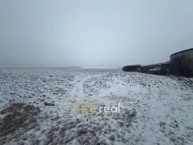 Prodej pole, Bořetice, 4209 m2