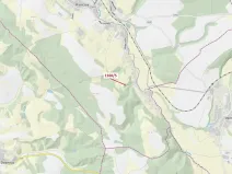 Dražba lesa, Letohrad, 282 m2