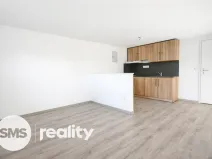 Pronájem bytu 1+kk, Opava - Předměstí, Resslovo nábřeží, 30 m2