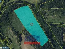 Prodej lesa, Okrouhlice - Vadín, 13839 m2