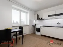 Pronájem bytu 1+1, Dolní Benešov, Osada míru, 33 m2