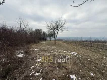 Prodej pozemku, Bzenec, 1231 m2