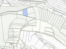 Prodej lesa, Tehov, 4064 m2