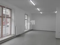 Pronájem obchodního prostoru, Ostrava - Mariánské Hory, Přemyslovců, 110 m2