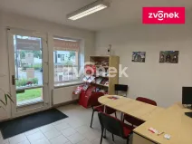 Pronájem komerční nemovitosti, Bystřice pod Hostýnem, 45 m2