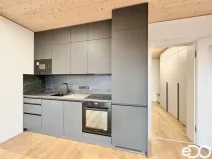 Pronájem bytu 1+kk, Praha, Ujgurská, 41 m2