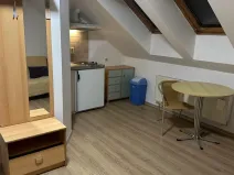 Pronájem bytu 1+kk, Brno, Palackého třída, 28 m2