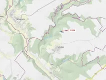 Dražba lesa, Náměšť nad Oslavou, 3646 m2