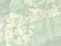 Dražba lesa, Zděchov, 435 m2