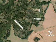 Prodej podílu lesa, Všepadly, 1092 m2