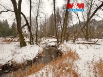 Prodej rybníku, Dolní Hořice - Pořín, 8552 m2