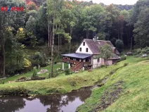 Prodej chalupy, Stráž nad Ohří - Srní, 300 m2