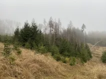 Prodej lesa, Městečko Trnávka - Lázy, 6313 m2