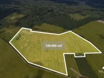 Prodej pozemku, Chudenín, 139968 m2