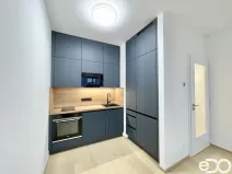 Pronájem bytu 2+kk, Praha, Hasilova, 41 m2